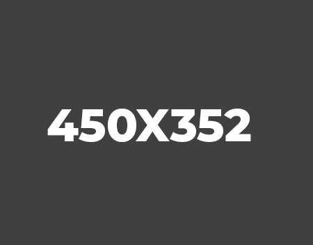450×352 (1)