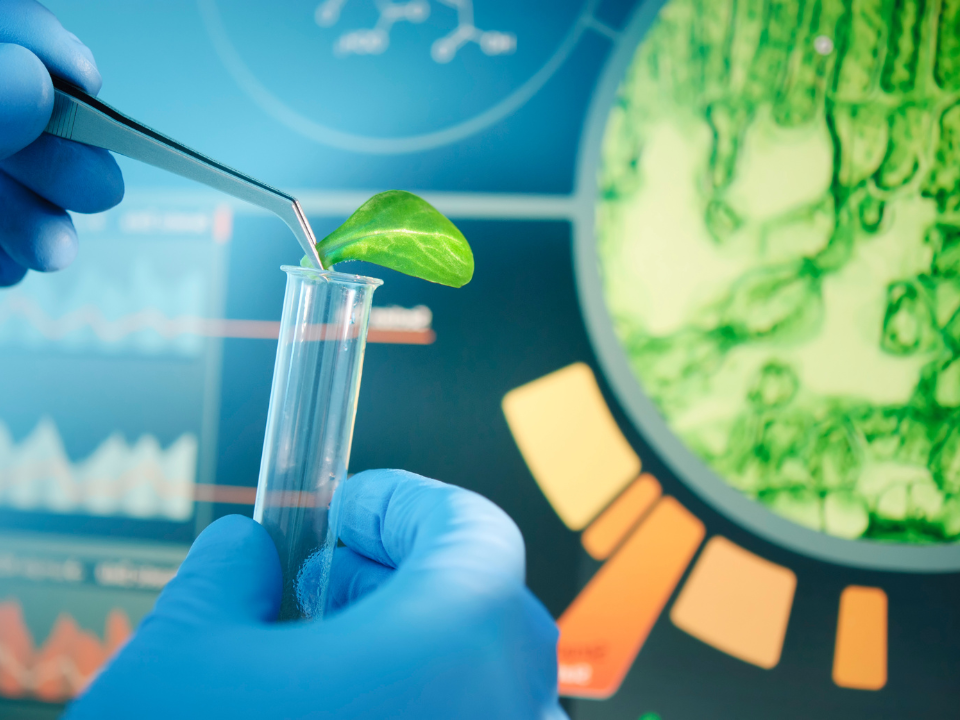 Química verde e biotecnologia: bioenergia, bioprodutos e dispositivos sustentáveis