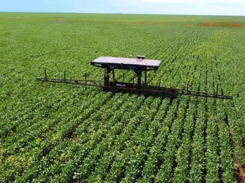 Fazenda em Goiás usará robôs com IA para fazer todo o combate a ervas daninhas