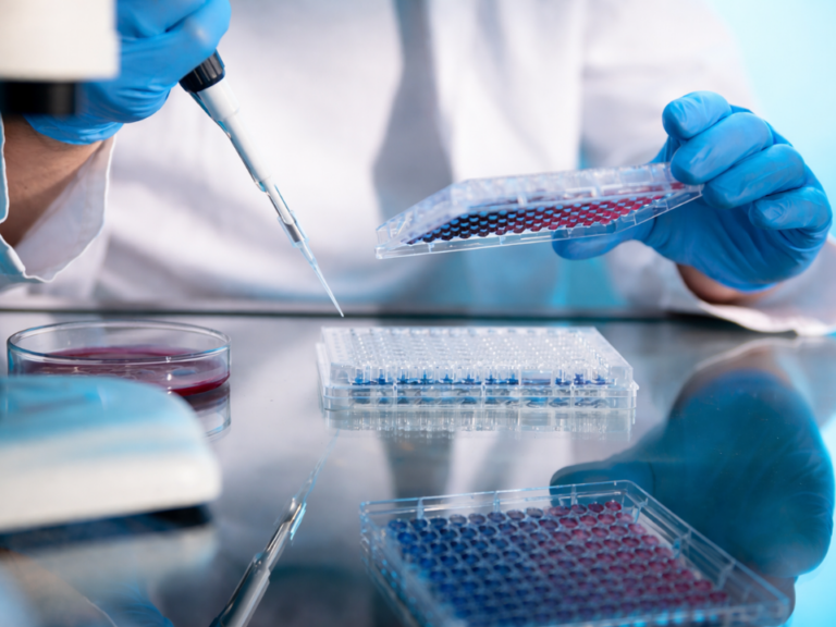 Técnico de laboratório realizando pipetagem em microplacas durante ensaio microbiológico, em ambiente controlado de controle de qualidade, com preparo simultâneo de amostras para análise.