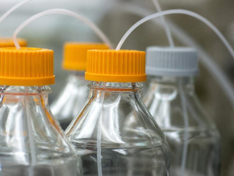 Frascos de fase móvel conectados ao sistema cromatográfico, ilustrando o uso de água para HPLC de alta qualidade e o controle de parâmetros como TOC, gases dissolvidos e contaminantes para garantir separações cromatográficas confiáveis.