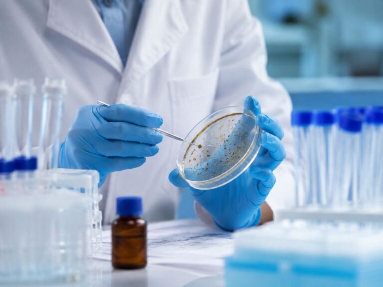 Métodos microbiológicos rápidos utilizam diferentes princípios de detecção para reduzir o tempo necessário à identificação de sinais de contaminação, mantendo a necessidade de validação para o uso pretendido.