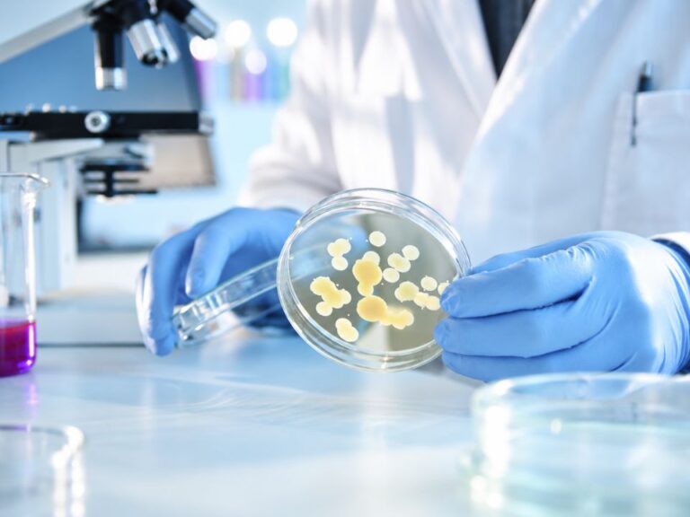 Recuperação microbiana em ensaios microbiológicos.